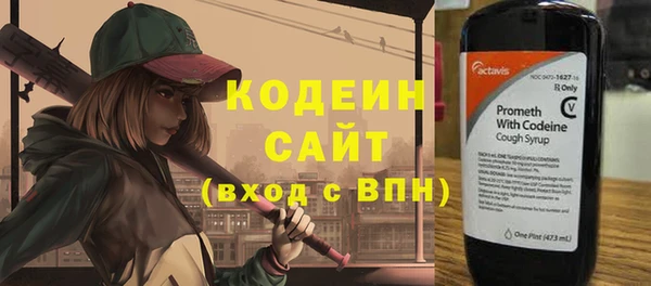индика Наволоки