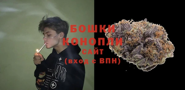 индика Наволоки