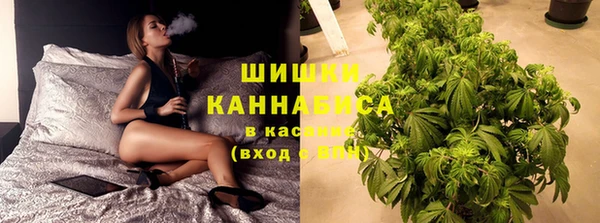 индика Наволоки