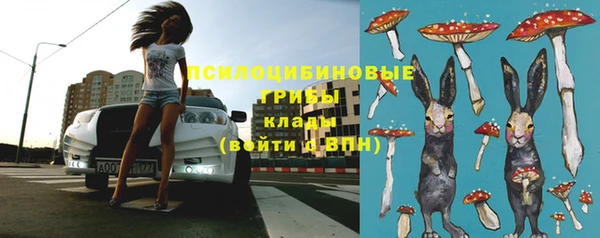 индика Наволоки