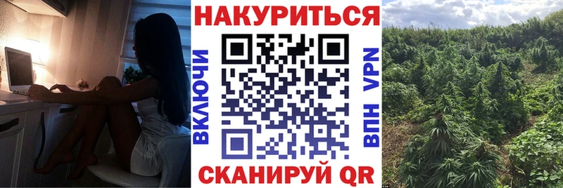 Бошки Шишки марихуана  купить наркотик  Тогучин 